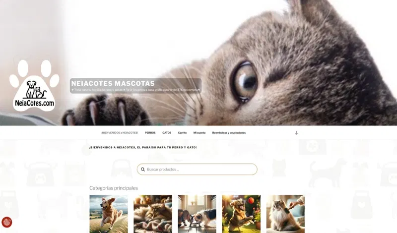 exemple disseny neiacotes